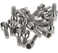 Болт колесный (20 шт; D=20 мм; M12x1.25x27) SKYWAY S10601001
