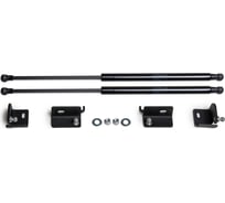 Газовые упоры капота для Volkswagen Taos 2021-н.в., 2 шт., АвтоУпор UVWTAO011