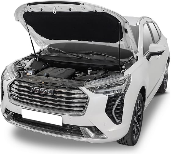 Газовые упоры капота для Haval Jolion 2021-н.в., 2 шт., АвтоУпор UHAJOL011