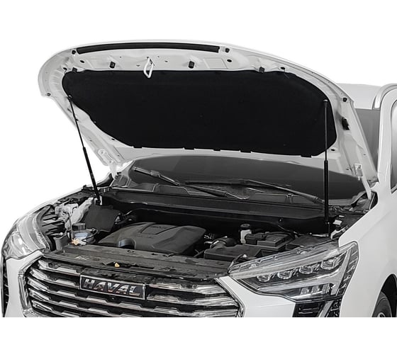 Газовые упоры капота для Haval Jolion 2021-н.в., 2 шт., АвтоУпор UHAJOL011