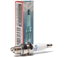 Свеча зажигания ГАЗ-2410, мото АИ-92 Autoimpuls А17 10.1118
