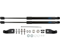 Упоры капота для MITSUBISHI ASX, 2017-, к-т 2 шт ARBORI.HD.029101