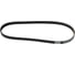 Ремень поликлиновой 5PK868E Ford C-Max I 07-, Focus II, III 04-, Volvo S40 II 04- MARSHALL M6310308 3