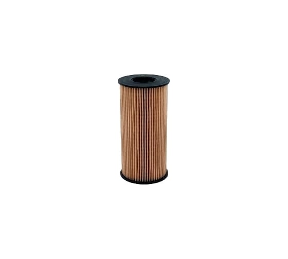 Фильтр масляный NISSAN X-Trail II 2.0L 07- BIG FILTER GB1233 1