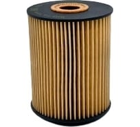 Фильтр масляный VW Touareg I 4.2 V8 03-10 BIG FILTER GB1223