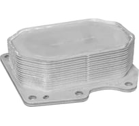 Радиатор масляный Citroen Jumper II 06-, Ford Transit VII, VIII 06-, Peugeot Boxer II 06- MARSHALL M4991089