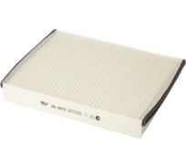 Фильтр салона FORD C-Max II/Grand C-Max/Focus III/Kuga II BIG FILTER GB9979