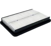 Фильтр воздушный HYUNDAI Santa Fe III/KIA Sorento II XM BIG FILTER GB95038PL