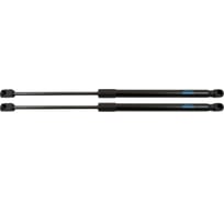 Упоры капота 2 шт для Skoda Rapid, 2020- Arbori ARBORI.HD.041102