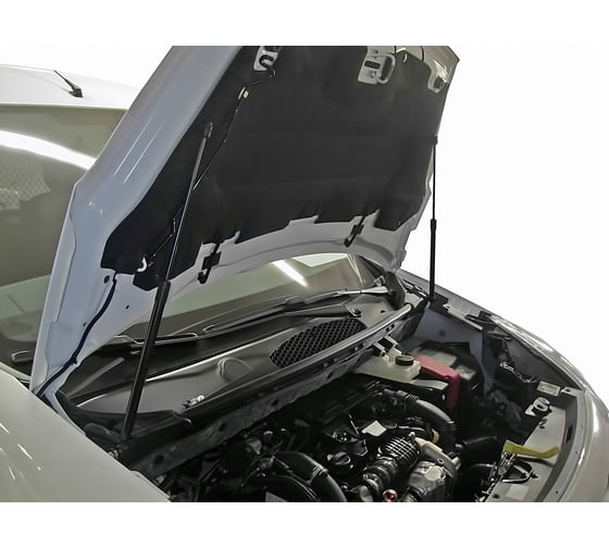 Упоры капота 2 шт для Peugeot Partner, Citroen Berlingo, 2021- Arbori ARBORI.HD.032105