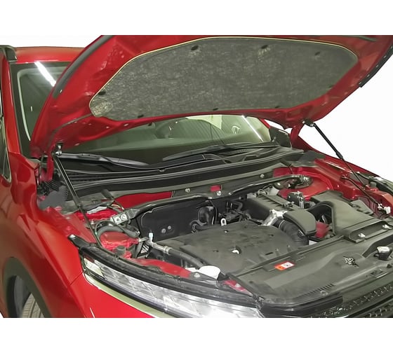 Упоры капота 2 шт для MITSUBISHI Eclipse Cross, 2018- Arbori ARBORI.HD.029102