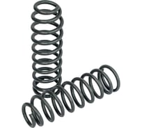 Пружины передние Toyota Land Cruiser 80/105 0-100 кг, лифт 50 мм РИФ 080-770C