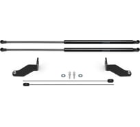 Упоры капота для Haval Jolion 2021-н.в., 2 шт Rival A.ST.9403.1