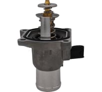 Термостат GM Professional Delcoparts 19372522