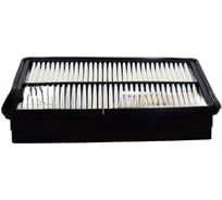 Фильтр воздушный двигателя GM Advantage ACDelco 19372654