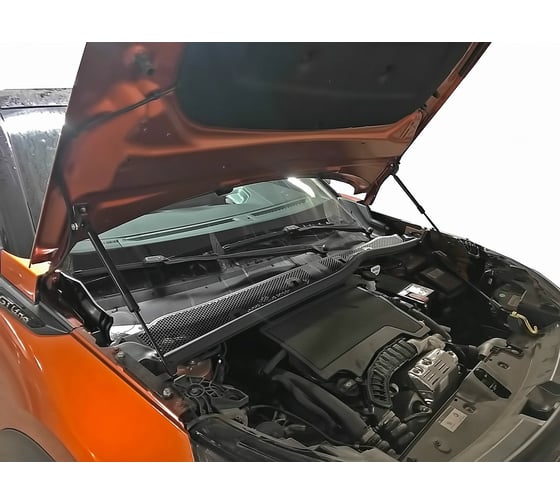 Упоры капота для PEUGEOT 2008, 2020-, 2 шт ARBORI HD.032104