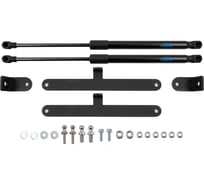 Упоры капота для UAZ Patriot, 2012-2014, 2 шт ARBORI HD.047102