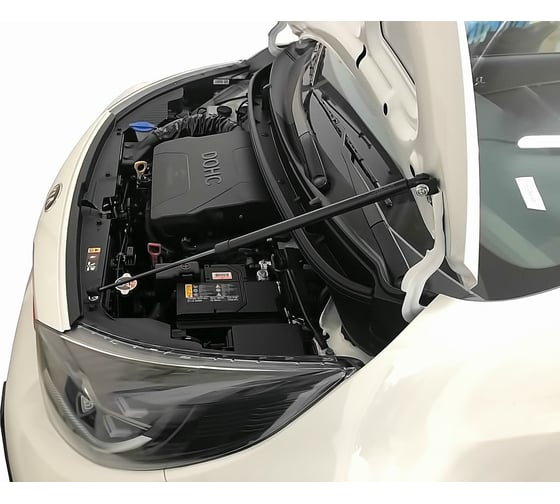 Упоры капота для KIA Picanto (JA), 2020-, 1 шт ARBORI HD.022106