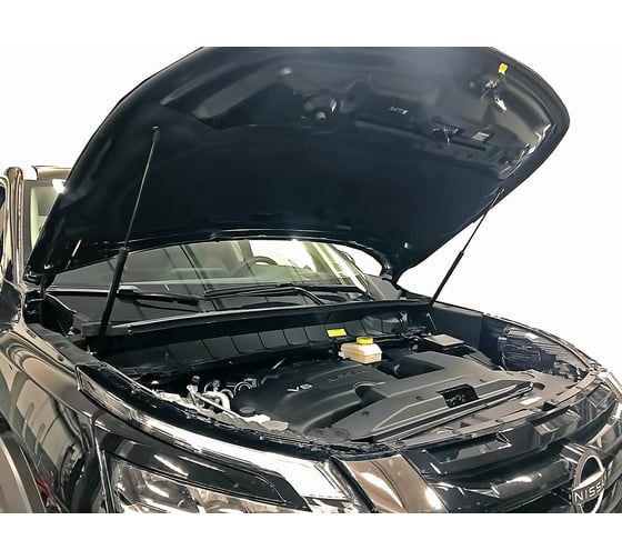 Упоры капота для NISSAN Pathfinder, 2022-, 2 шт ARBORI HD.030103