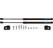 Упоры капота для GREAT WALL Wingle 7, 2020-, 2 шт ARBORI HD.055101