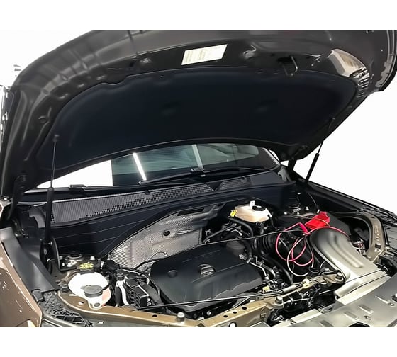Упоры капота для CHEVROLET TrailBlazer, 2020-, 2 шт ARBORI HD.059104