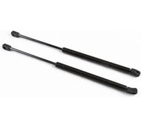 Упоры капота для SUZUKI Grand Vitara, 2008-2012, 2 шт ARBORI HD.040105