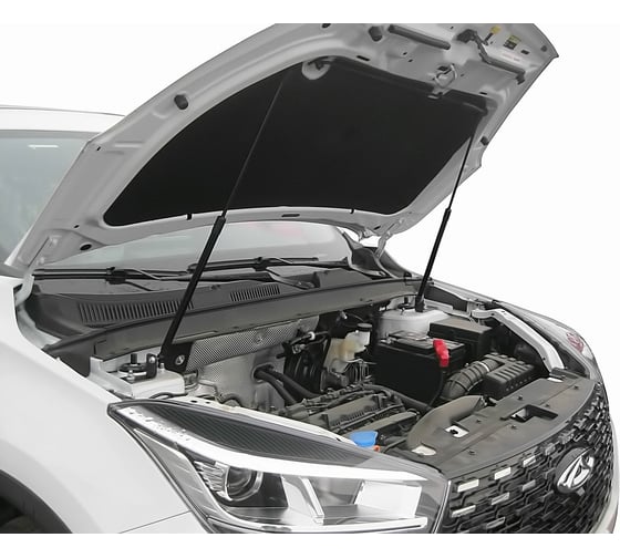 Упоры капота для CHERY Tiggo 4 Pro (T19FL), 2021-, 2 шт ARBORI HD.017102