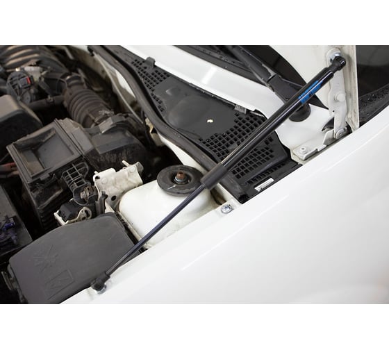 Упоры капота Arbori для LADA Largus, 2012-2021, Renault Logan I к-т 2 шт HD.023105 ARBORI.HD.023105