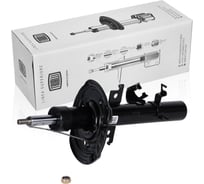 Амортизатор передний правый для автомобиля Nissan Qashqai TRIALLI AG 14376