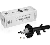 Амортизатор задний правый для автомобиля Land Rover Freelander TRIALLI AG 10422