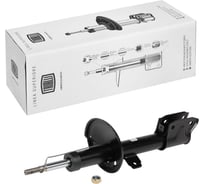 Амортизатор передний для автомобиля Renault Arkana TRIALLI AG 09065