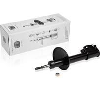 Амортизатор передний для автомобиля Renault Sandero Stepway TRIALLI AG 09058