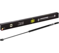 Амортизатор крышки багажника для автомобиля Ford C-MAX TRIALLI GS 1002