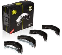 Колодки тормозные барабанные для автомобилей Ford Focus II 228x42 TRIALLI GF 1062