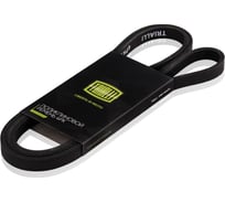 Ремень приводной для автомобилей Ford Focus III 2.0i TRIALLI 4PK1360