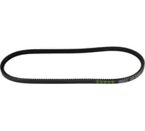 Ремень приводной для автомобилей ГАЗель Бизнес зубчатый AVX13x875 TRIALLI AVX13X875