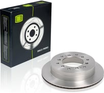Диск тормозной TRIALLI для автомобилей Toyota Land Cruiser Prado (02-) задний d=312 (2 шт.) DF 190604