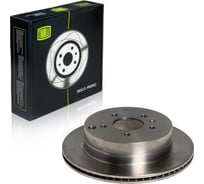 Диск тормозной TRIALLI для автомобилей Chevrolet Captiva (06-) / Opel Antara (06-) задний d=303 окрашенный (2 шт.) DF 062209