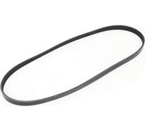 Ремень поликлиновой 4PK913 для а/м Daewoo Matiz 0.8, Peugeot 206 1.4, Renault Clio 1.2 Riginal RG4PK913