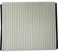 Фильтр салона для а/м Ford Focus II Premium Riginal RGCU2440