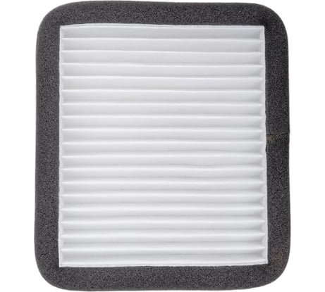 Фильтр салона для а/м ВАЗ 2110/2111/2112 -2003 Riginal RG2110-8122012