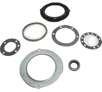 Ремкомплект поворотного кулака УАЗ 315195, 3163, 3909 (обойма, сальники, войлок, прокладки) мост "Спайсер" Riginal RG3163-2304000