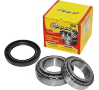 Ремкомплект задней ступицы для а/м ГАЗ 2217, 2752, 2310, ГАЗель A21R23 Next Riginal RG2217-3104800