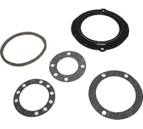 Ремкомплект поворотного кулака УАЗ 315195, 3163, 3909 (сальник, войлок, прокладки паронит) мост "Спайсер" Riginal RG3163-2304001