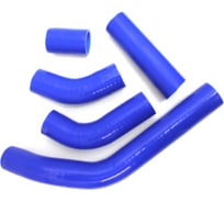 Патрубки радиатора 5 шт, силикон для а/м ГАЗ 3302 дв.УМЗ 4216, 4213 Бизнес 107 л.с. Riginal RG3302-1303000-5-sil