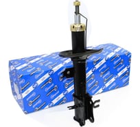 Амортизатор передний правый газовый для а/м Chevrolet Aveo T250 1.2 /1.4/1.6 08> Riginal RG338011