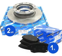 Диски тормозные с колодками задние комплект для а/м Ford Transit 2.2-2.4 TDCI 06- без АБС Riginal RGDF4821SKIT