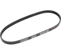 Поликлиновой ремень Globelt 6PJ640