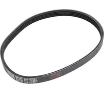 Поликлиновой ремень Globelt 5PJ406