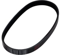 Поликлиновой ремень Globelt 6PJ450